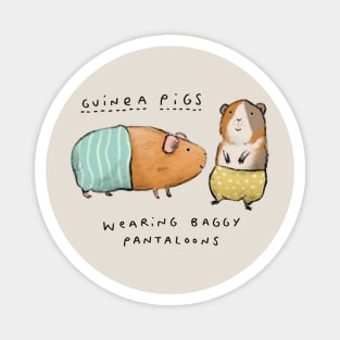 Guinea Pigs Wearing Baggy Pantaloons Magnet